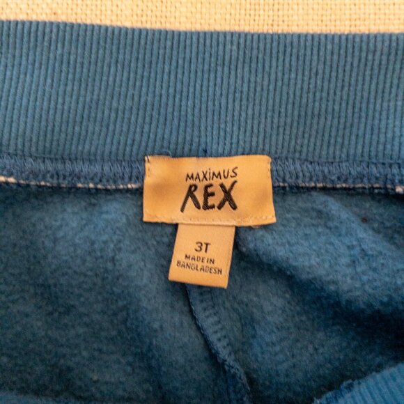 Maximus Rex 3T Blue Jogger Pants Dinosaur Print Cozy Kids Toddler Sweatpants - Picture 4 of 4